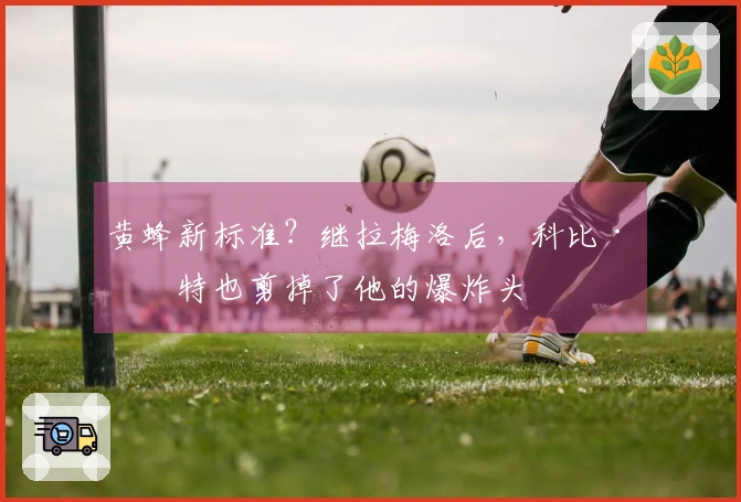 黄蜂新标准？继拉梅洛后，科比·怀特也剪掉了他的爆炸头